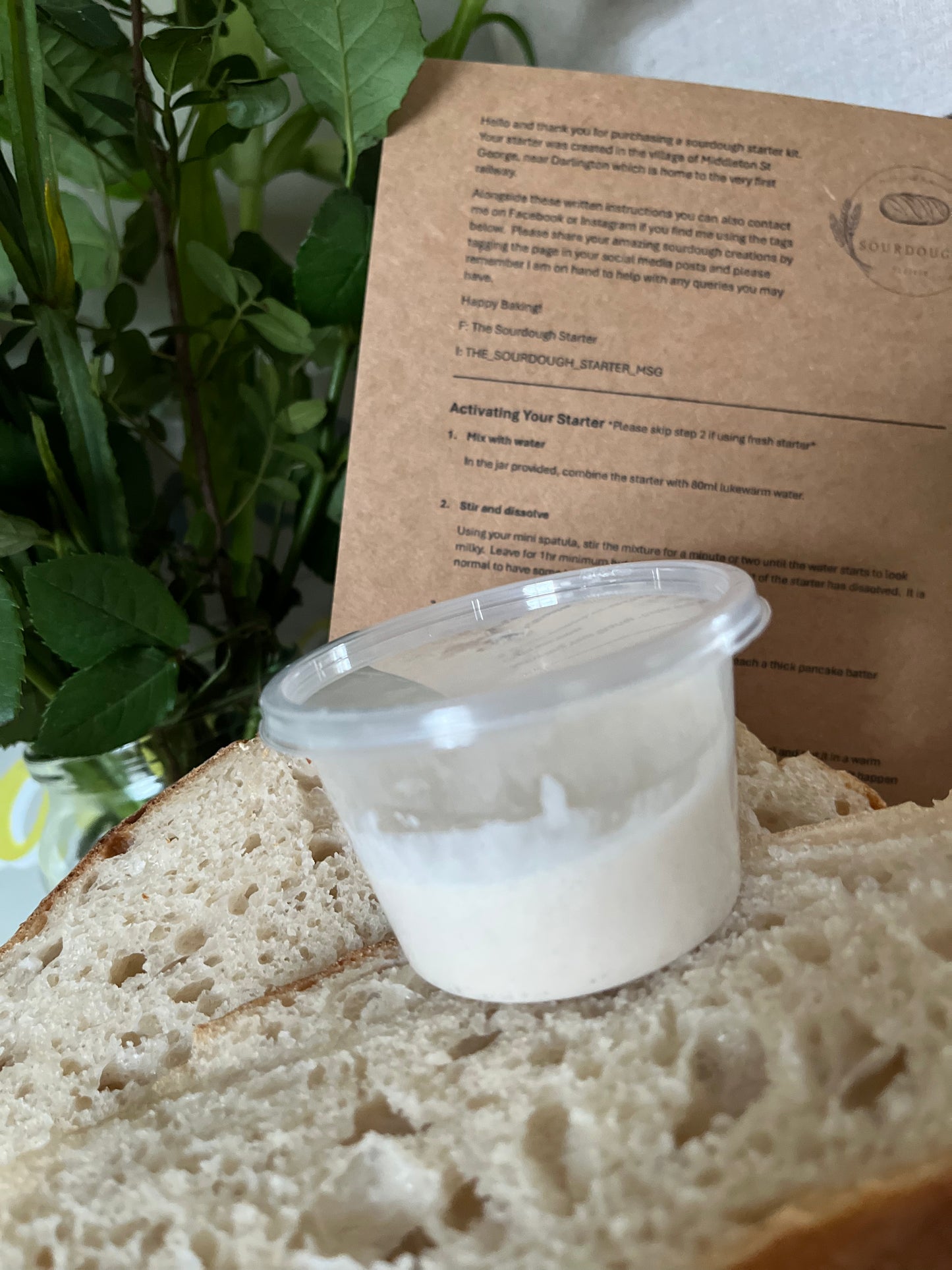 Sourdough Starter