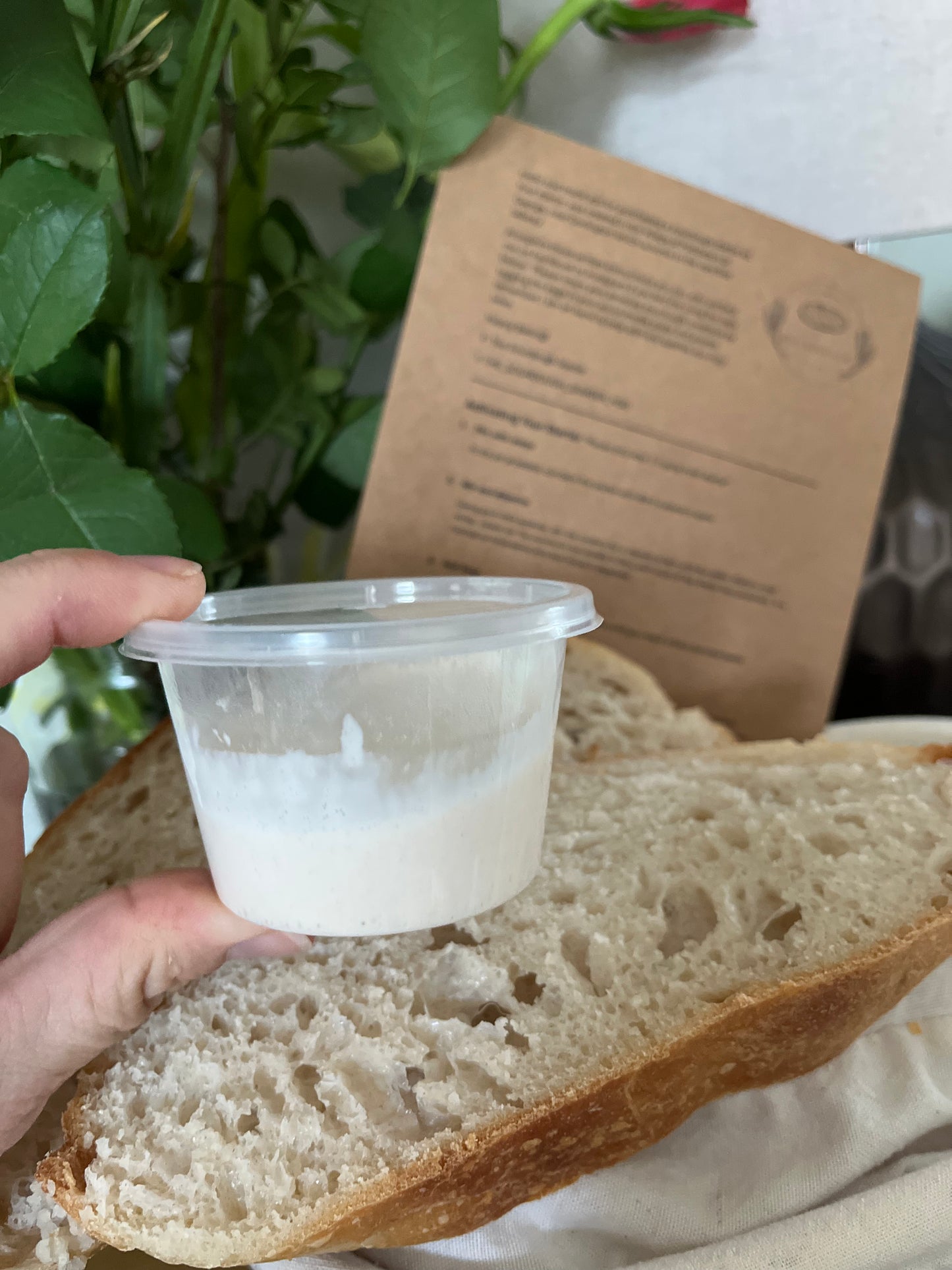 Sourdough Starter